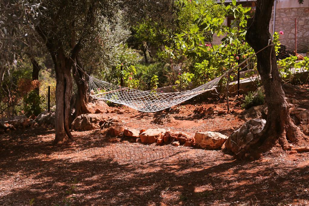 הוילה קס Kaktus Cakil מראה חיצוני תמונה